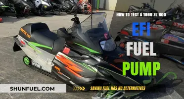 Testing the 1999 ZL 600 EFI Fuel Pump: A Step-by-Step Guide