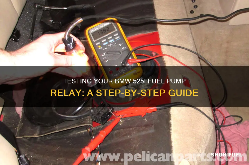 how to test a 525i bmw fuel pump relay