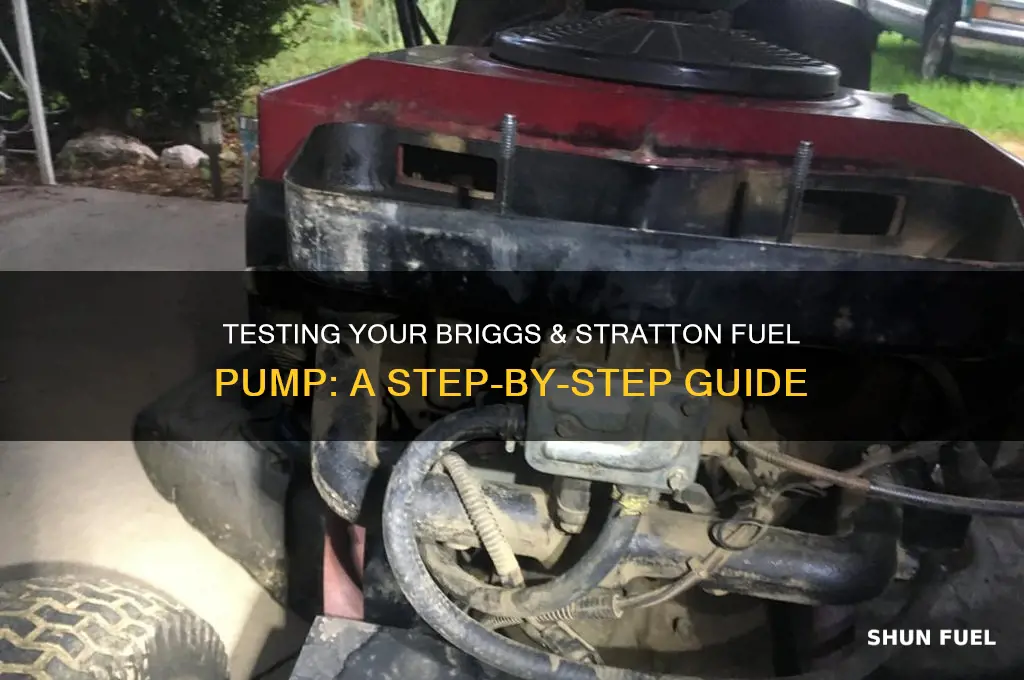 how to test a briggs and stration fuel pump