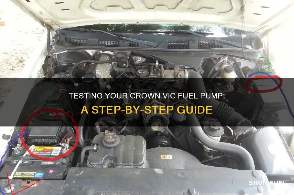 how to test a crown vic fuel pump