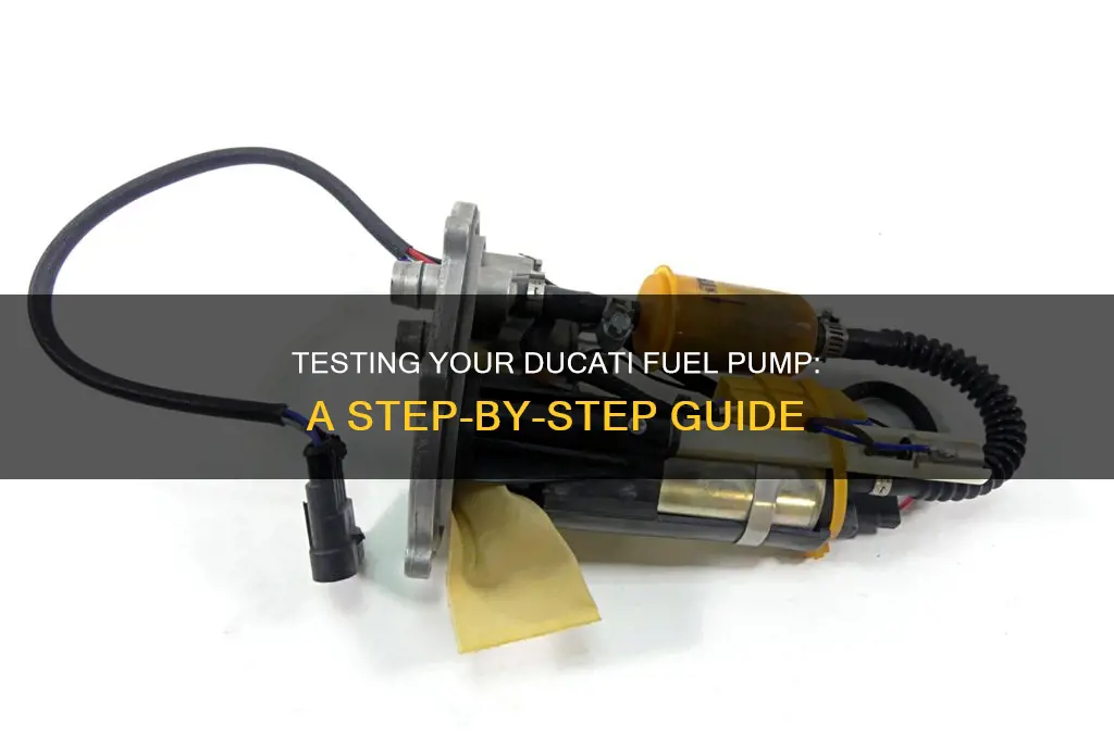 how to test a ducati fuel pump