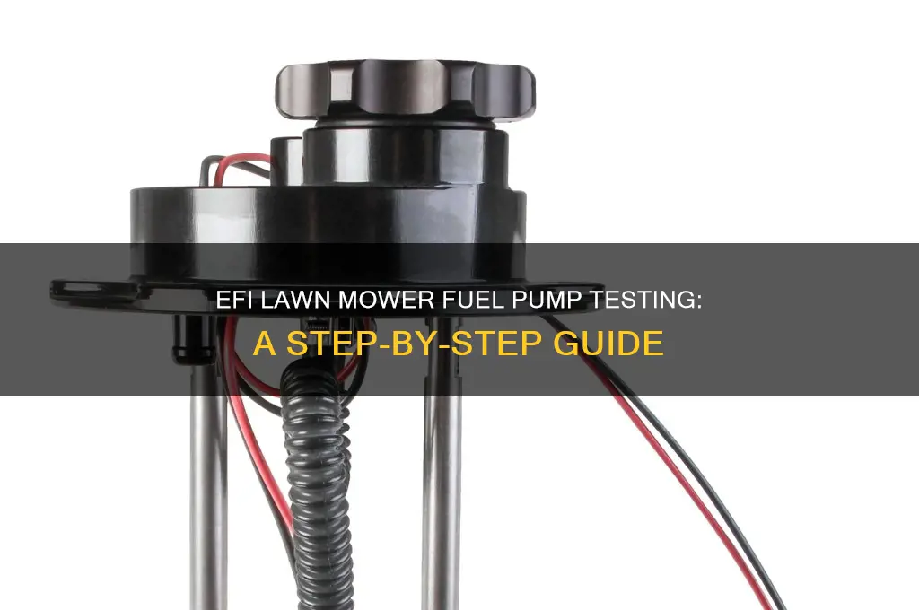 how to test a efi lawn mower fuel pump