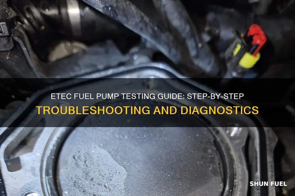 how to test a etec fuel pump
