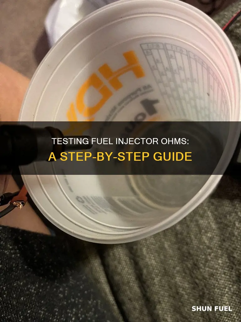 how to test a fuel injector ohm