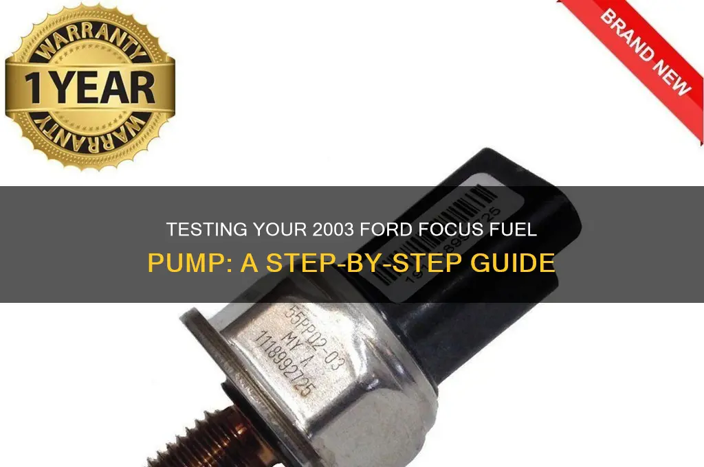 how to test a fuel pump in aford focus 2003