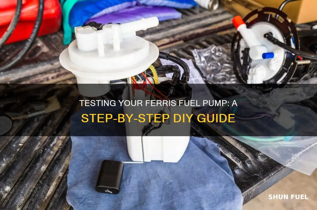 how to test a fuel pump on a ferris