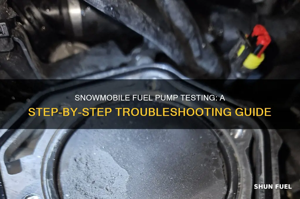 how to test a fuel pump on a snowmobile