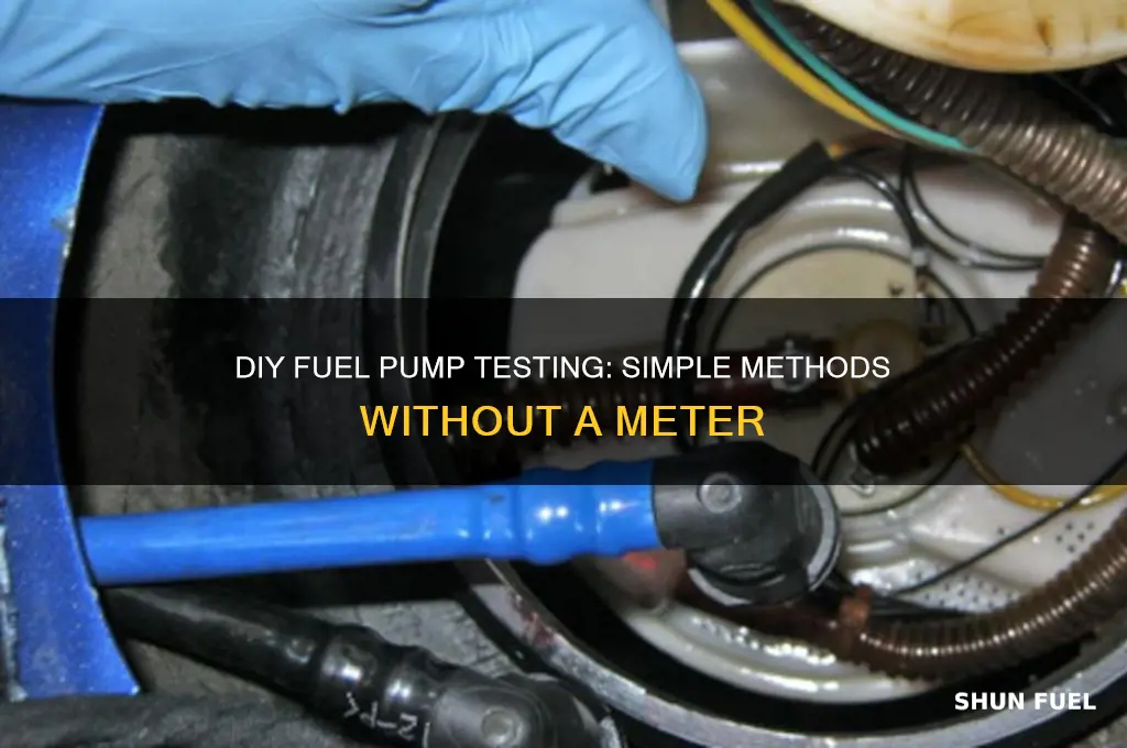 how to test a fuel pump without a meter