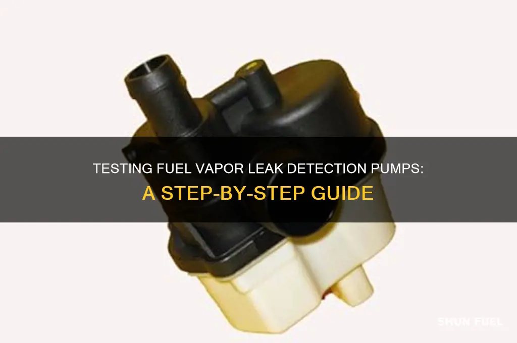 how to test a fuel vapor leak detection pump