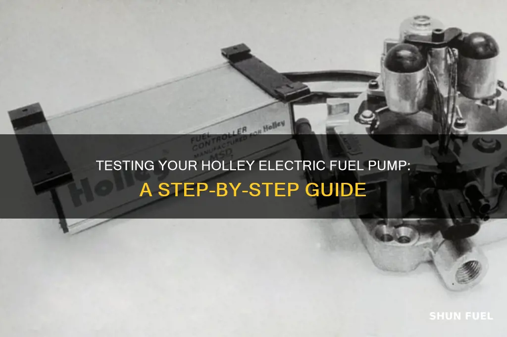 how to test a holley electric fuel pump