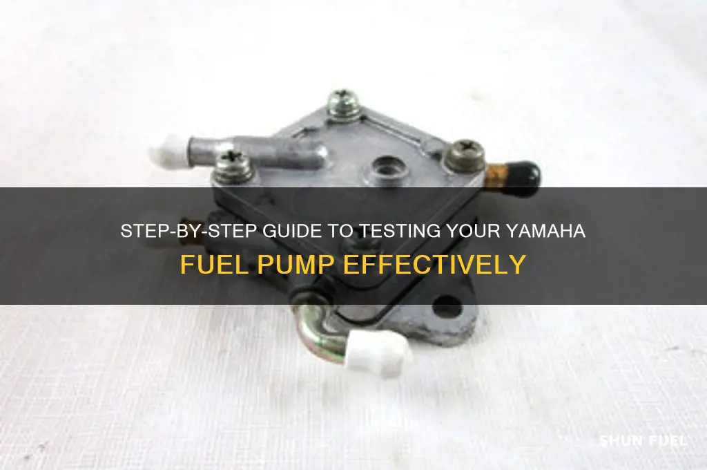 how to test a yamaha fuel pump