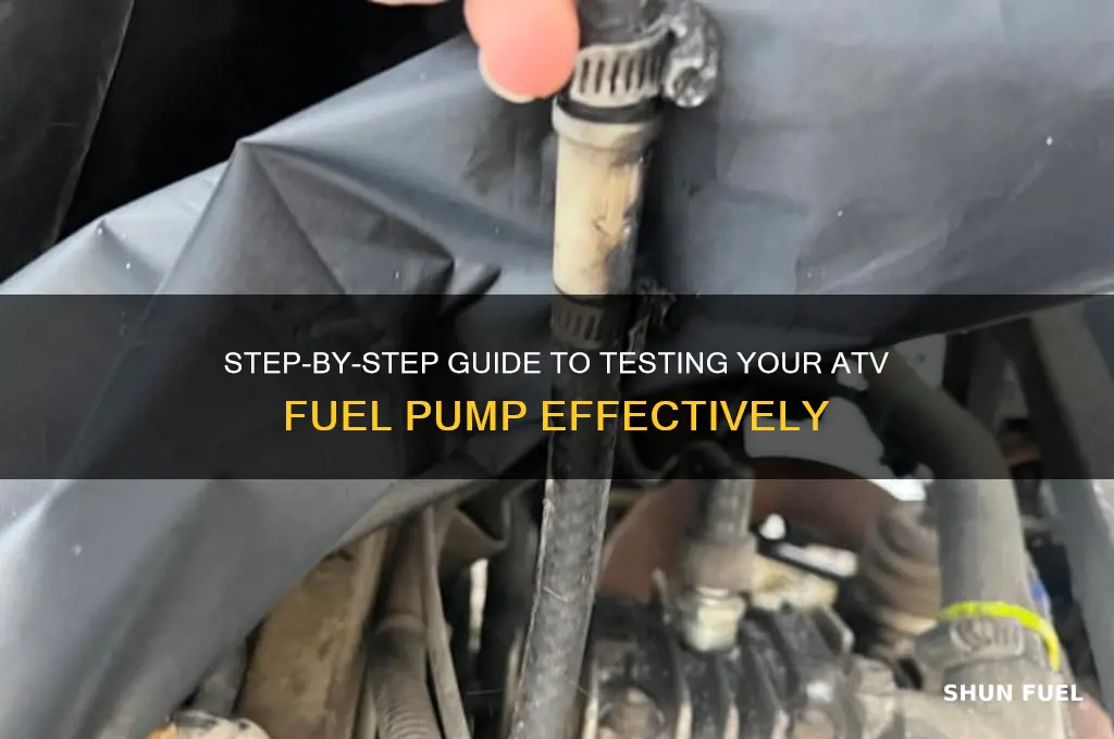 how to test an atv fuel pump
