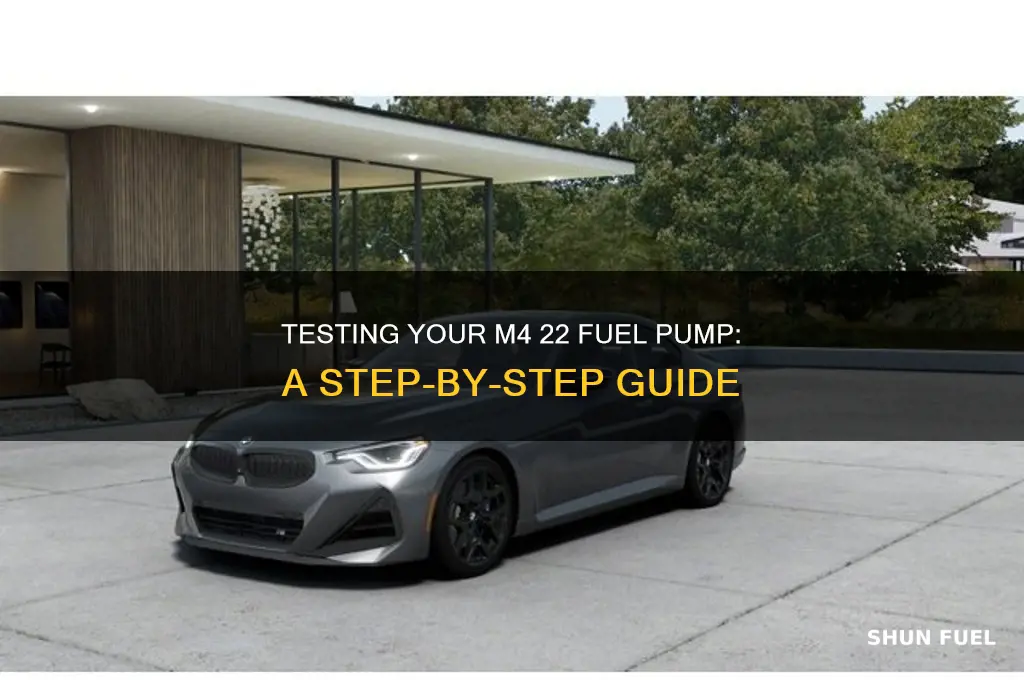 how to test an m4 22 fuel pump