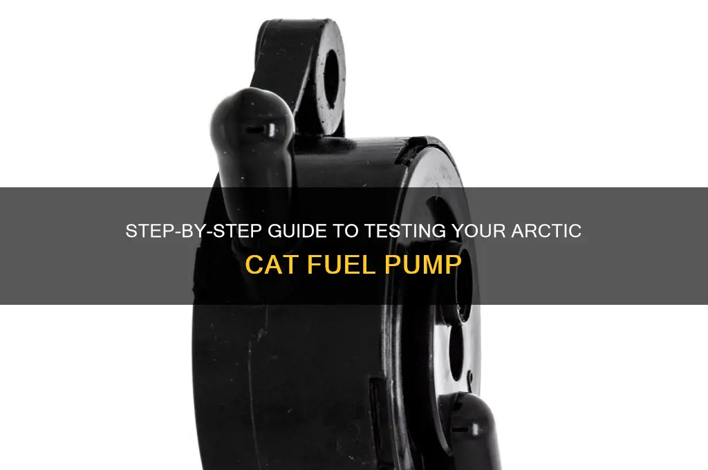 how to test arctic cat fuel pump