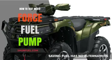 Testing Brute Force Fuel Pumps: A Comprehensive Step-by-Step Guide
