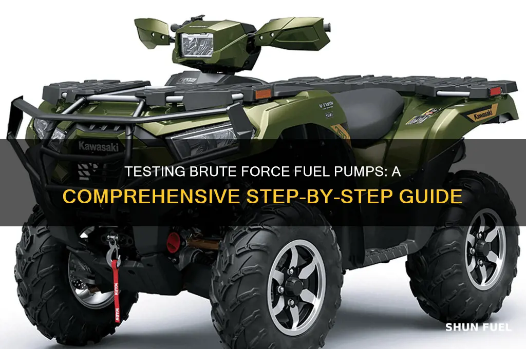 how to test brute force fuel pump