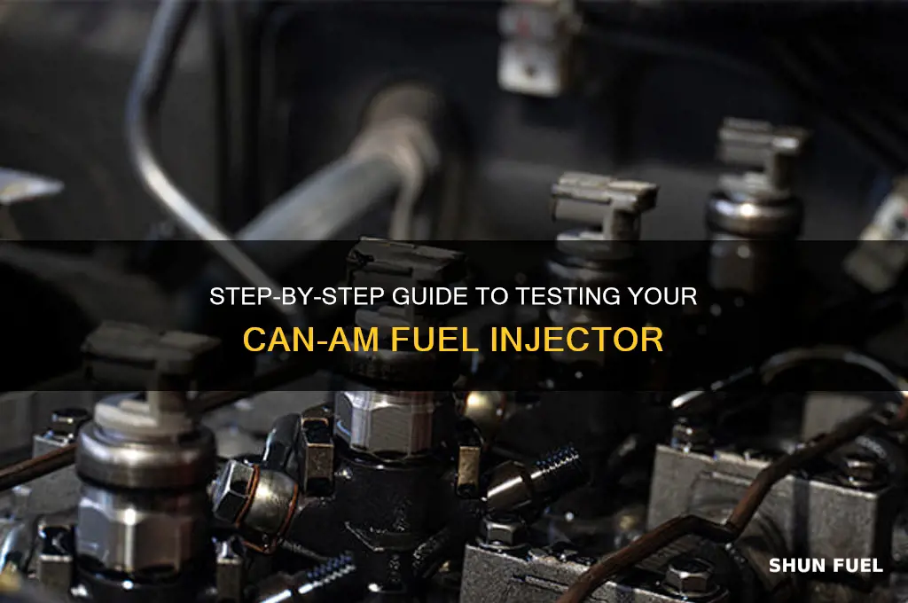 how to test can am fuel injector