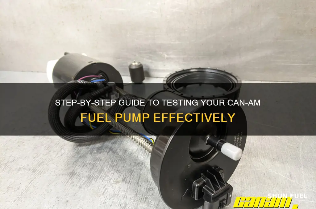 how to test can am fuel pump