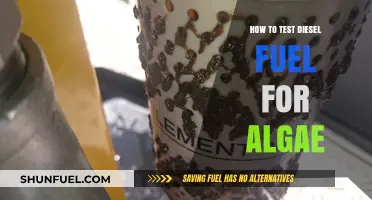 Detecting Algae in Diesel: Testing and Treating Fuel