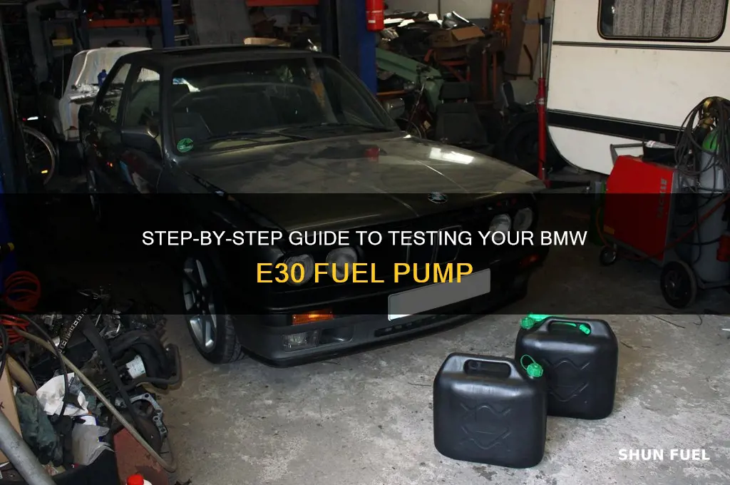 how to test e30 fuel pump