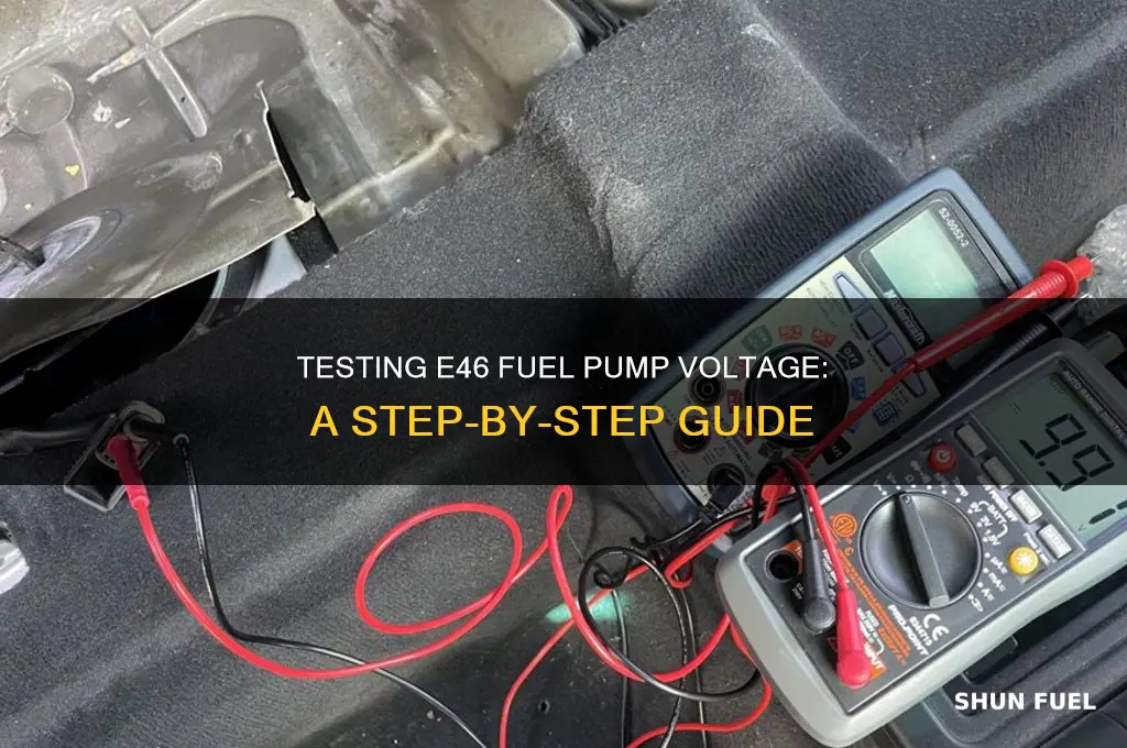 how to test e46 fuel pump voltage