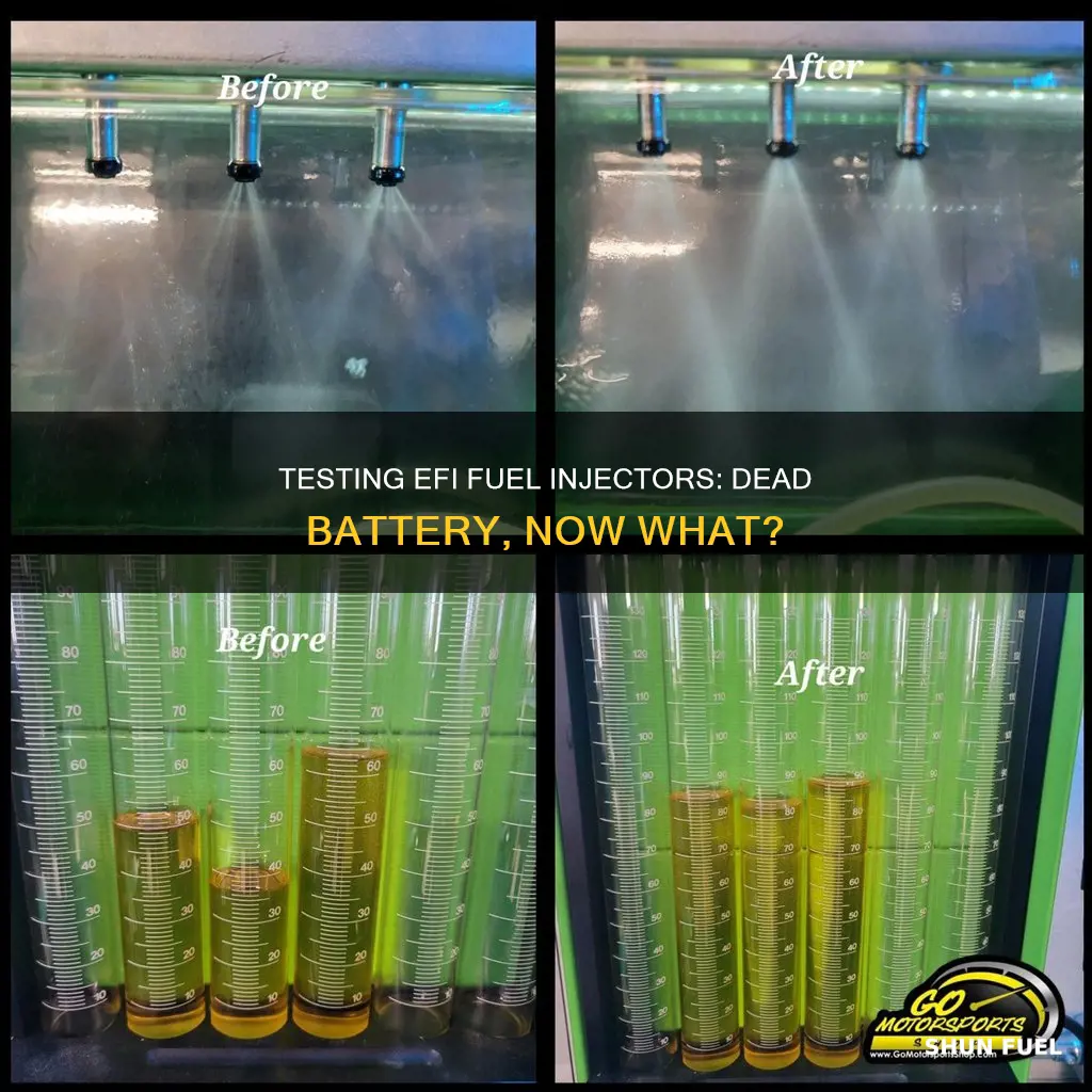 how to test efi fuel injectors with a dead battery