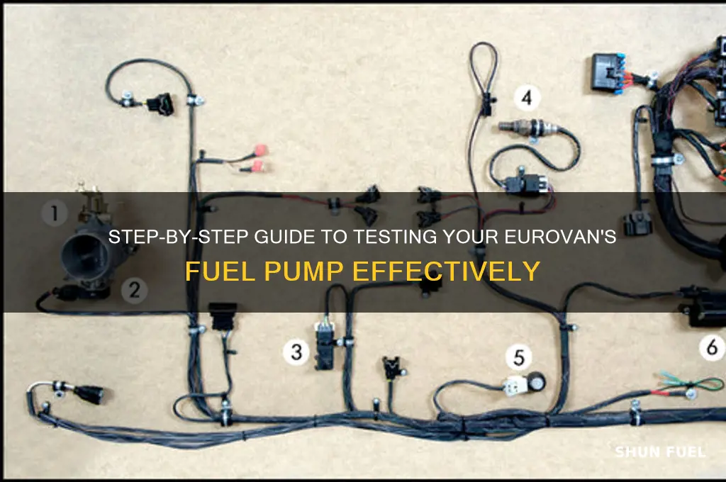 how to test eurovan fuel pump