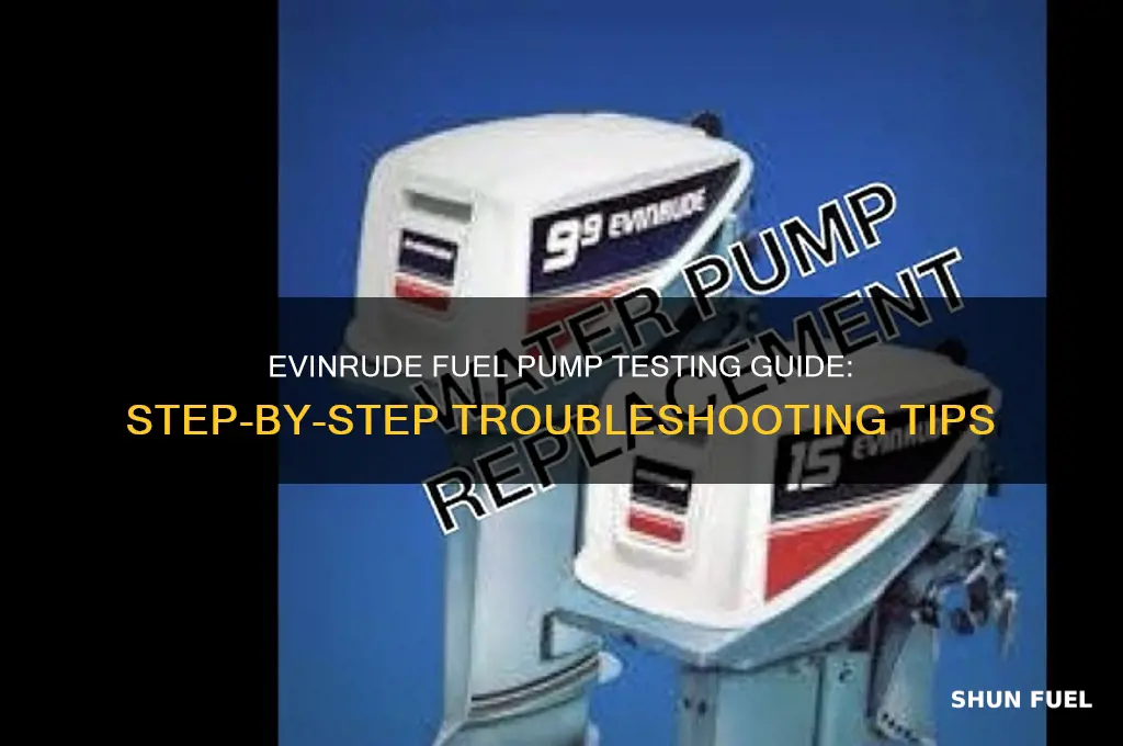 how to test evinrude fuel pump