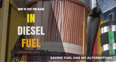 Detecting Algae in Diesel: Testing Procedures and Precautions