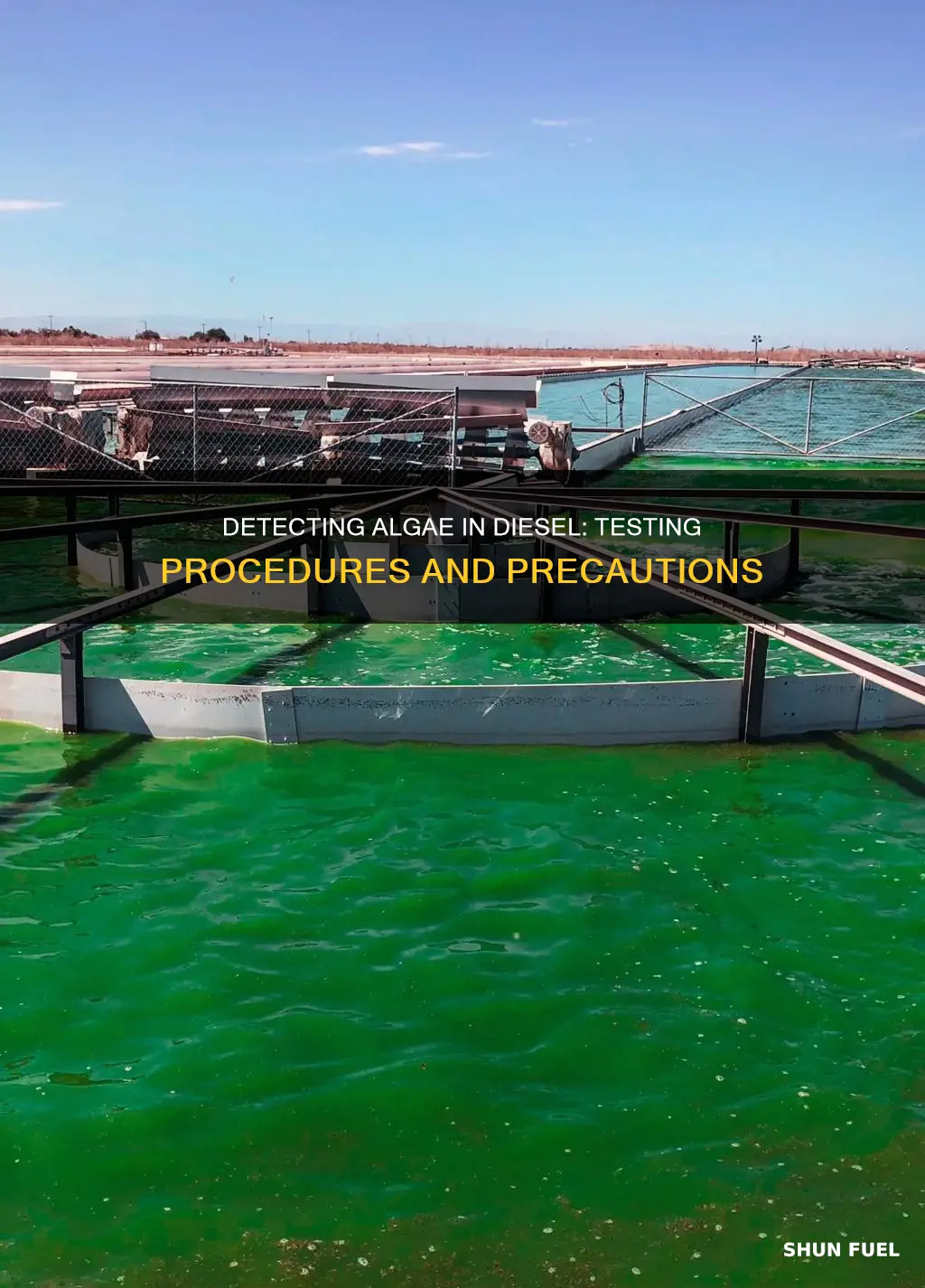 how to test for algae in diesel fuel