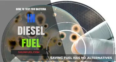 Testing Diesel Fuel for Bacteria: A Guide
