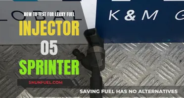 Sprinter Fuel Injector: Testing for Leaks