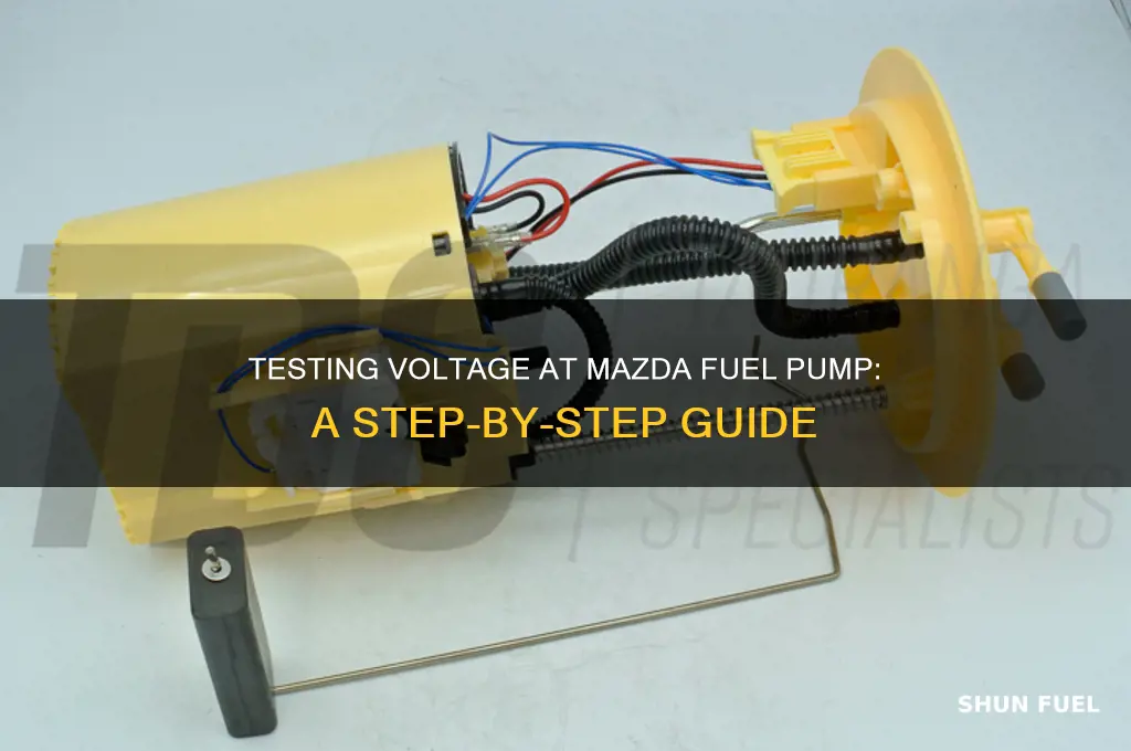 how to test for voltage at mazda fuel pump