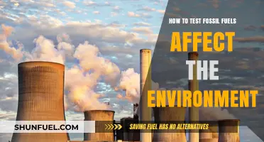Testing Fossil Fuels' Environmental Impact