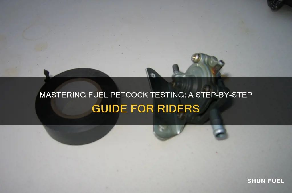 how to test fuel petcock