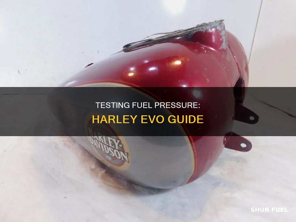 how to test fuel pressure harley evo