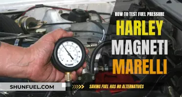 Testing Fuel Pressure: Harley's Magneti Marelli Guide