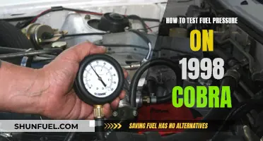 Testing Fuel Pressure: 1998 Cobra Maintenance Guide