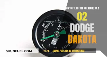 Testing Fuel Pressure: 02 Dodge Dakota Guide