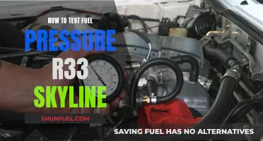 Testing Fuel Pressure: R33 Skyline Guide