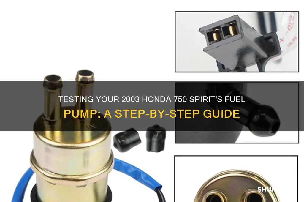 how to test fuel pump 2003 honda 750 spirit
