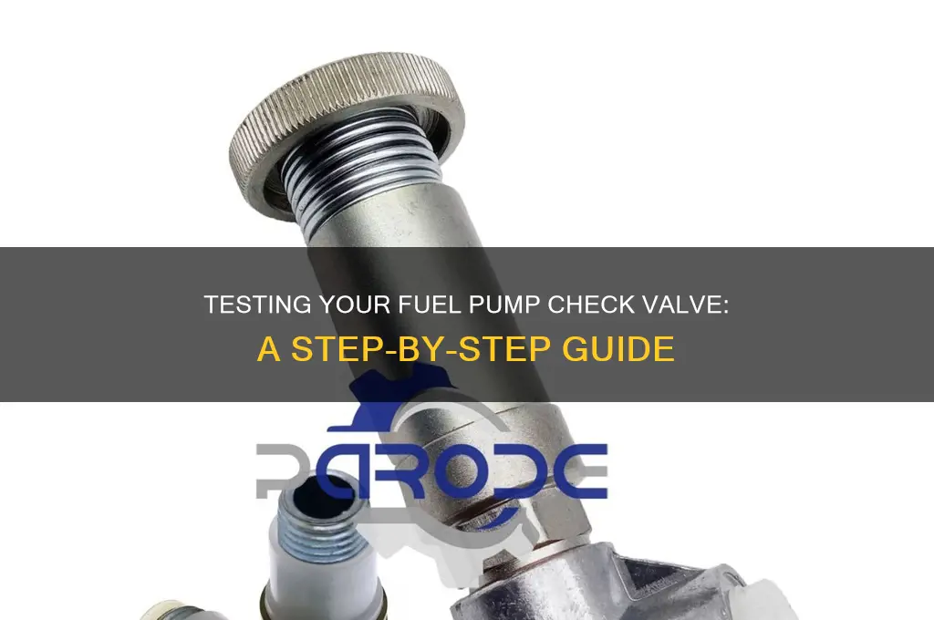 how to test fuel pump check valve