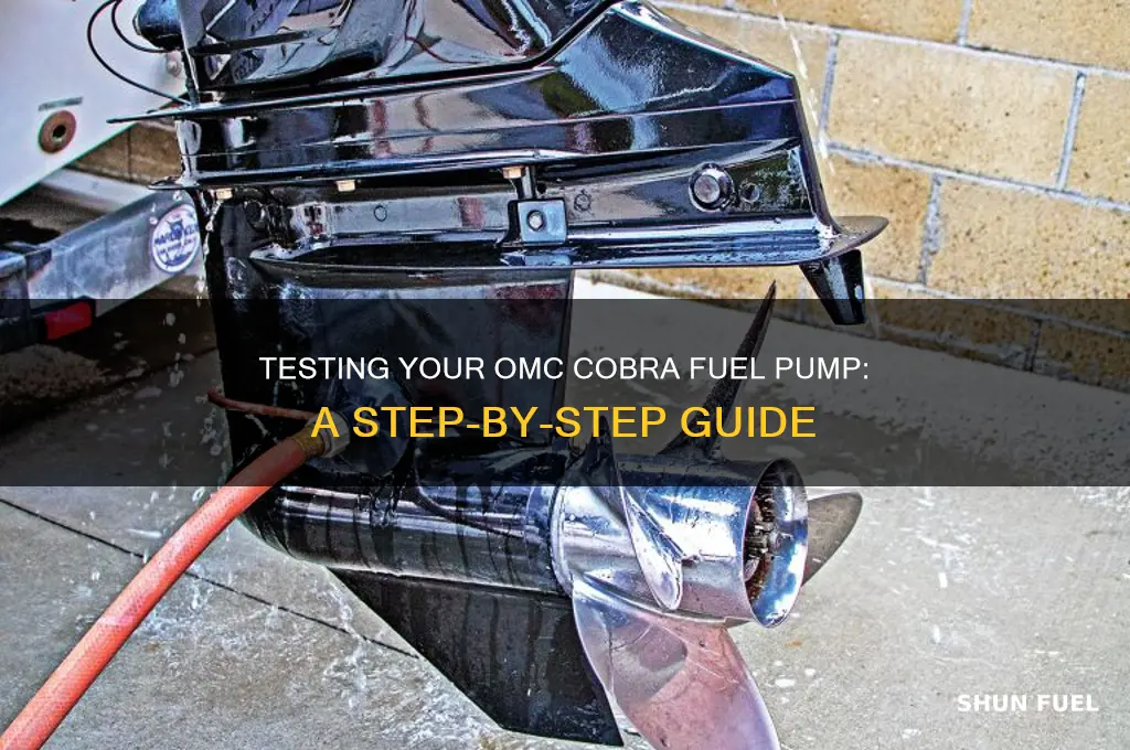 how to test fuel pump omc cobra