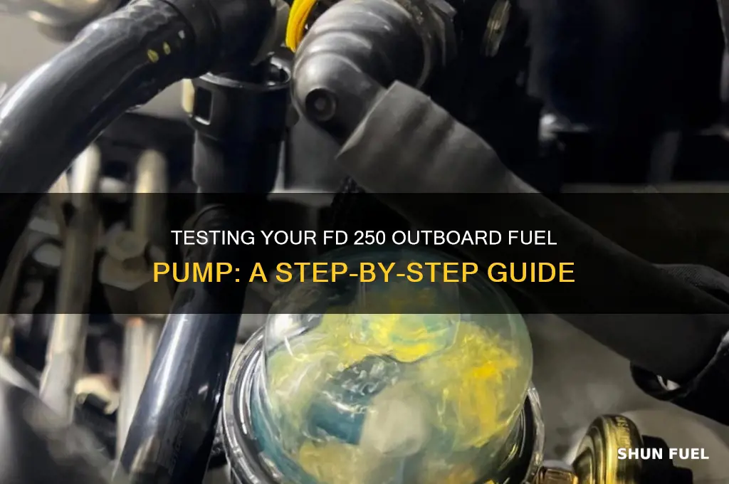 how to test fuel pump on fd 250 outboard