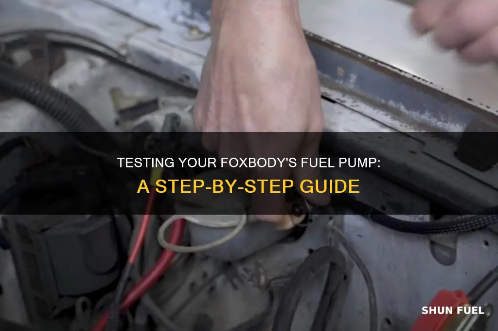 how to test fuel pump on foxbody