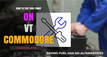 Testing Your VT Commodore's Fuel Pump: A Step-by-Step Guide