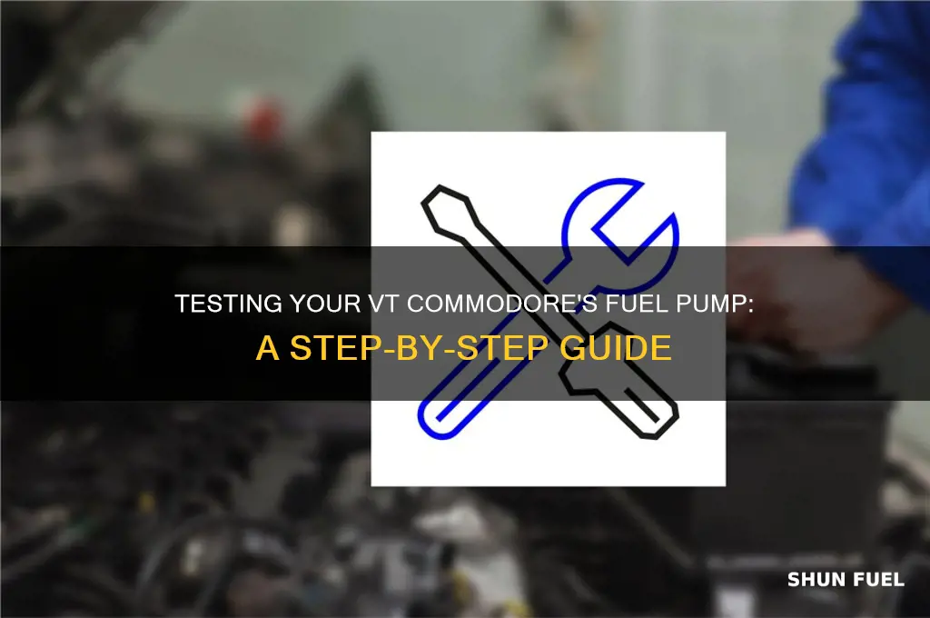 how to test fuel pump on vt commodore