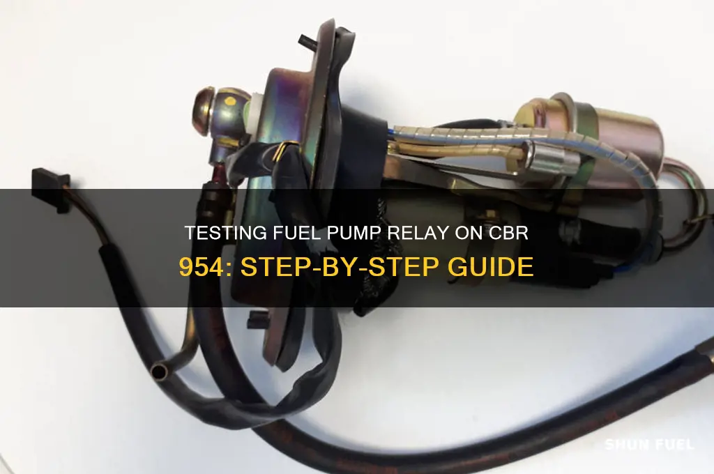how to test fuel pump relay on cbr 954