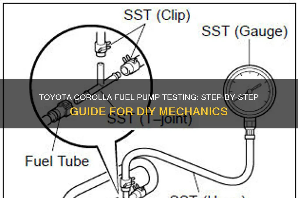how to test fuel pump toyota corolla