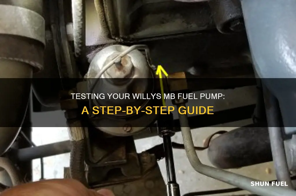how to test fuel pump willys mb